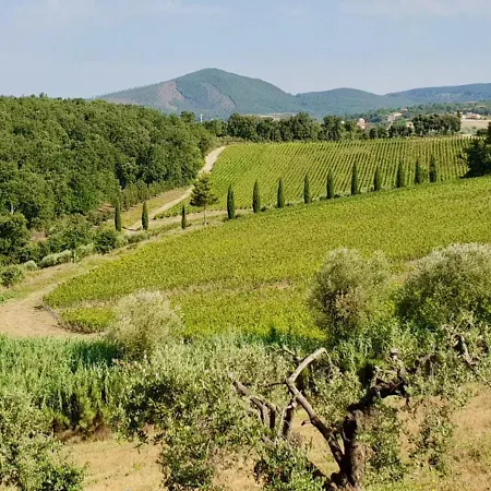 Podere Terraviva * Riparbella